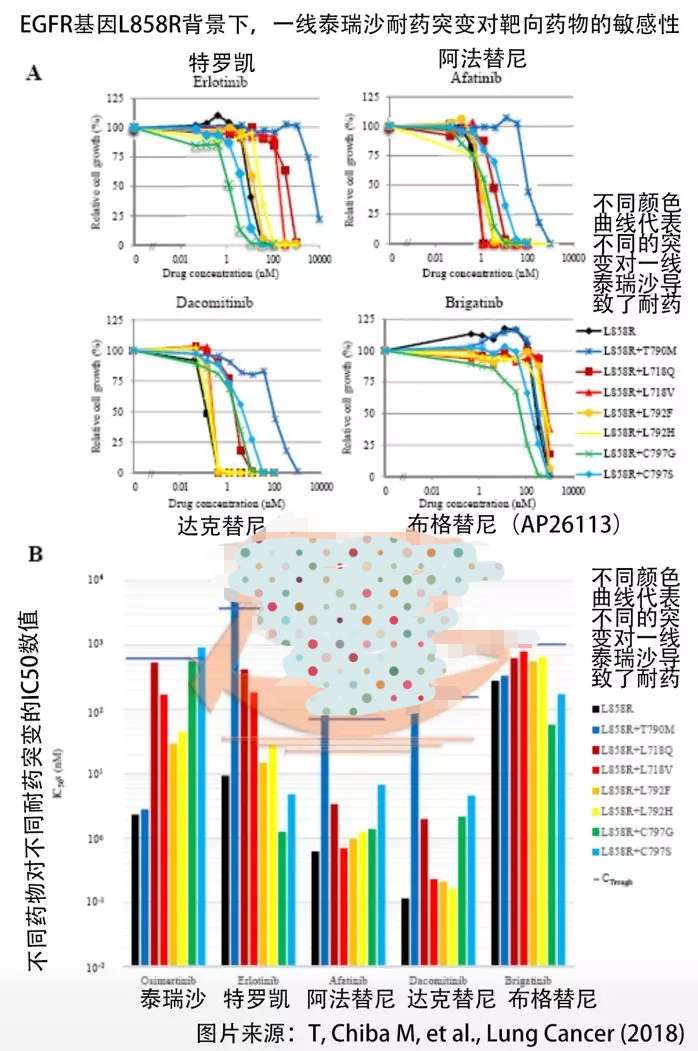 azd9291奥希替尼_奥希替尼印度版白盒_奥希替尼耐药后换用阿美替尼