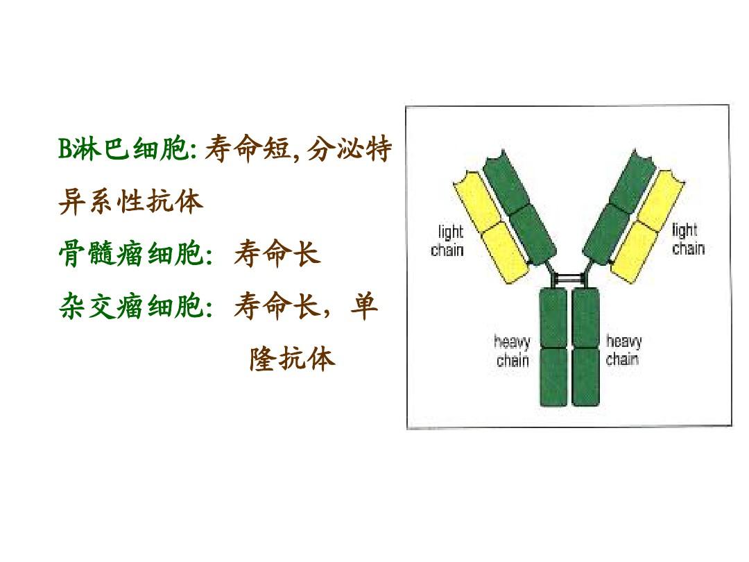 贝伐珠单抗靶向是啥_贝伐珠单抗喷雾_贝伐珠单抗可以报销吗