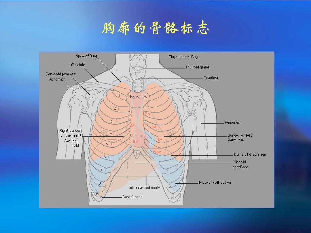 贝伐珠单抗是化疗药吗_贝伐珠单抗是靶向药吗_贝伐珠单抗7.5