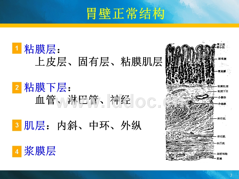 贝伐单抗几天能看到效果_贝伐珠单抗是化疗药吗_贝伐单抗耐药性