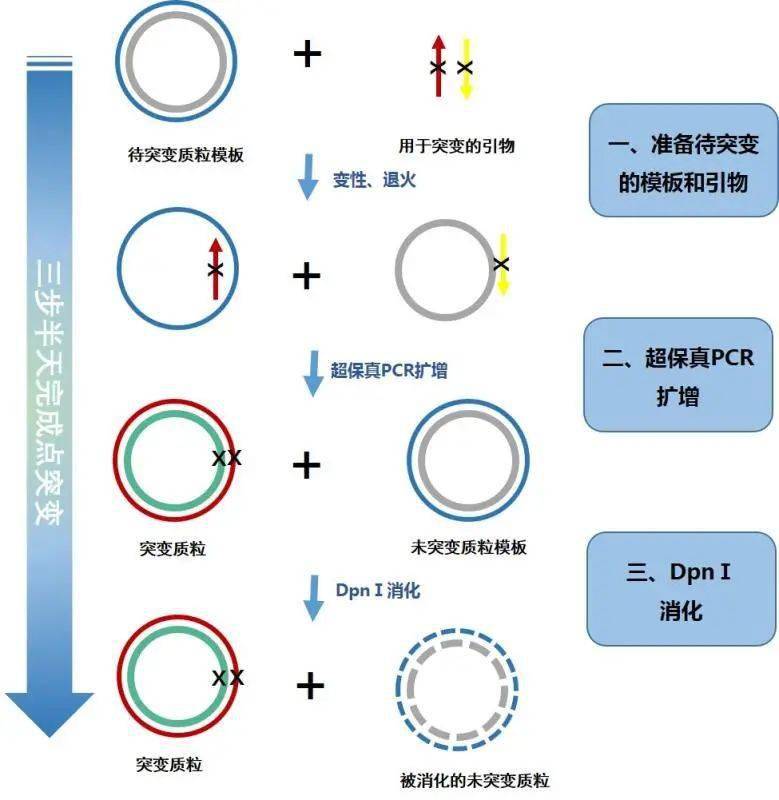 奥希替尼多少钱一盒_azd 9291 奥希替尼_奥希替尼可否盲吃