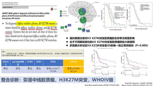 奥希替尼9291_奥希替尼印度版白盒_奥希替尼对肝癌有作用吗