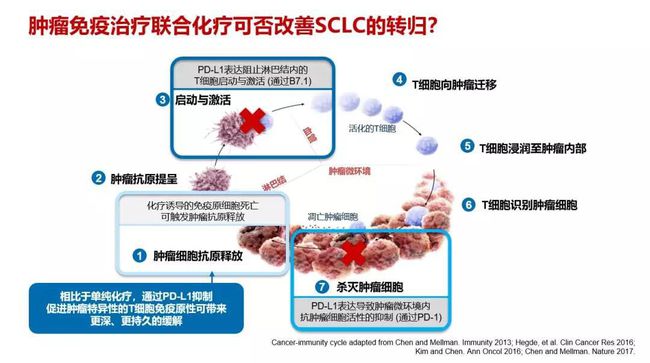 小孩吃隔食发烧症状_肺癌吃吉非替尼有发烧症状_发烧吃康泰克有用吗