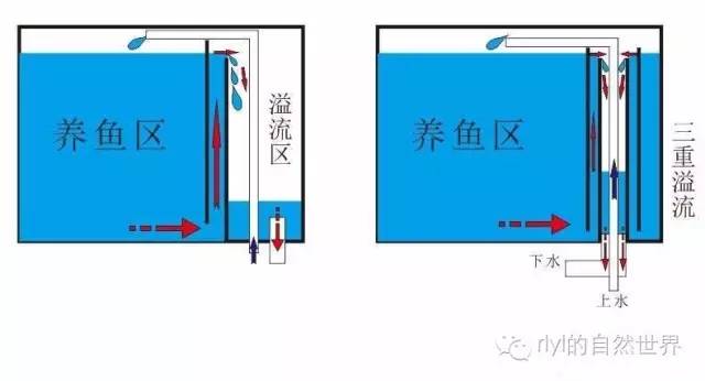 阿斯利康 奥希替尼_奥希替尼印度版白盒_奥希替尼让患者厌食