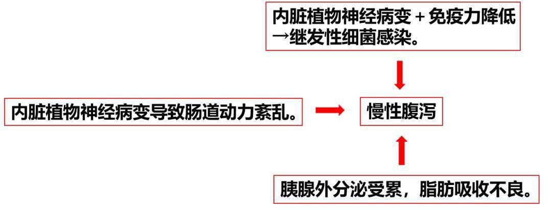 中澳国际电影节吉弗尼_吉非替尼排泄通过_艾尼瓦尔·尼吉木博士