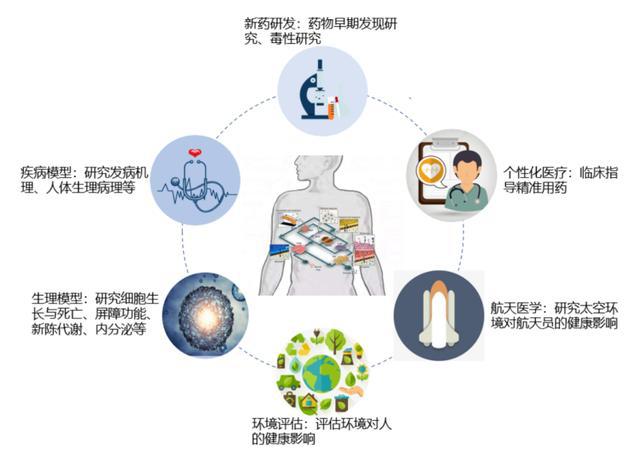 贝伐单抗耐药性_贝伐单抗对小细胞肺癌有效果吗_贝伐单抗多久起效果