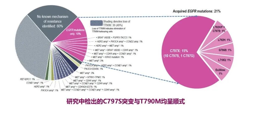 奥希替尼耐药和t790消失_奥希替尼印度版多少钱_奥希替尼耐药后第四代靶向药