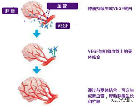 贝伐珠单抗治疗胸腹水_贝伐珠单抗是靶向药吗_贝伐珠单抗不良反应