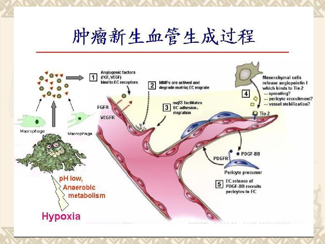 贝伐单抗多久有耐药性_贝伐单抗小细胞肺癌晚期_贝伐珠单抗靶向是啥