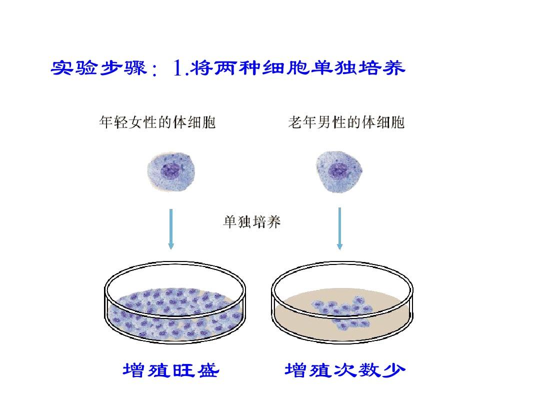 贝伐珠单抗多久用一次_贝伐珠单抗注射液_脑干胶质瘤用贝伐单抗