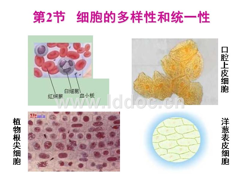 贝伐珠单抗存储_贝伐珠单抗 耐药性_贝伐珠单抗不良反应