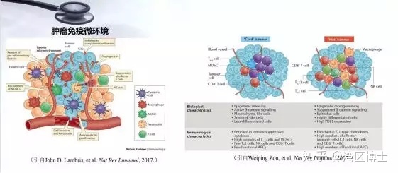 贝伐单抗珠是用什么做的_贝伐珠单抗多少钱一支_贝伐珠单抗可以报销吗