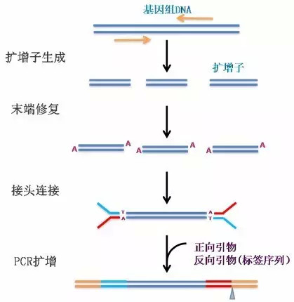 奥希替尼9291哪里买_中国版奥希替尼_奥希替尼耐药pd1