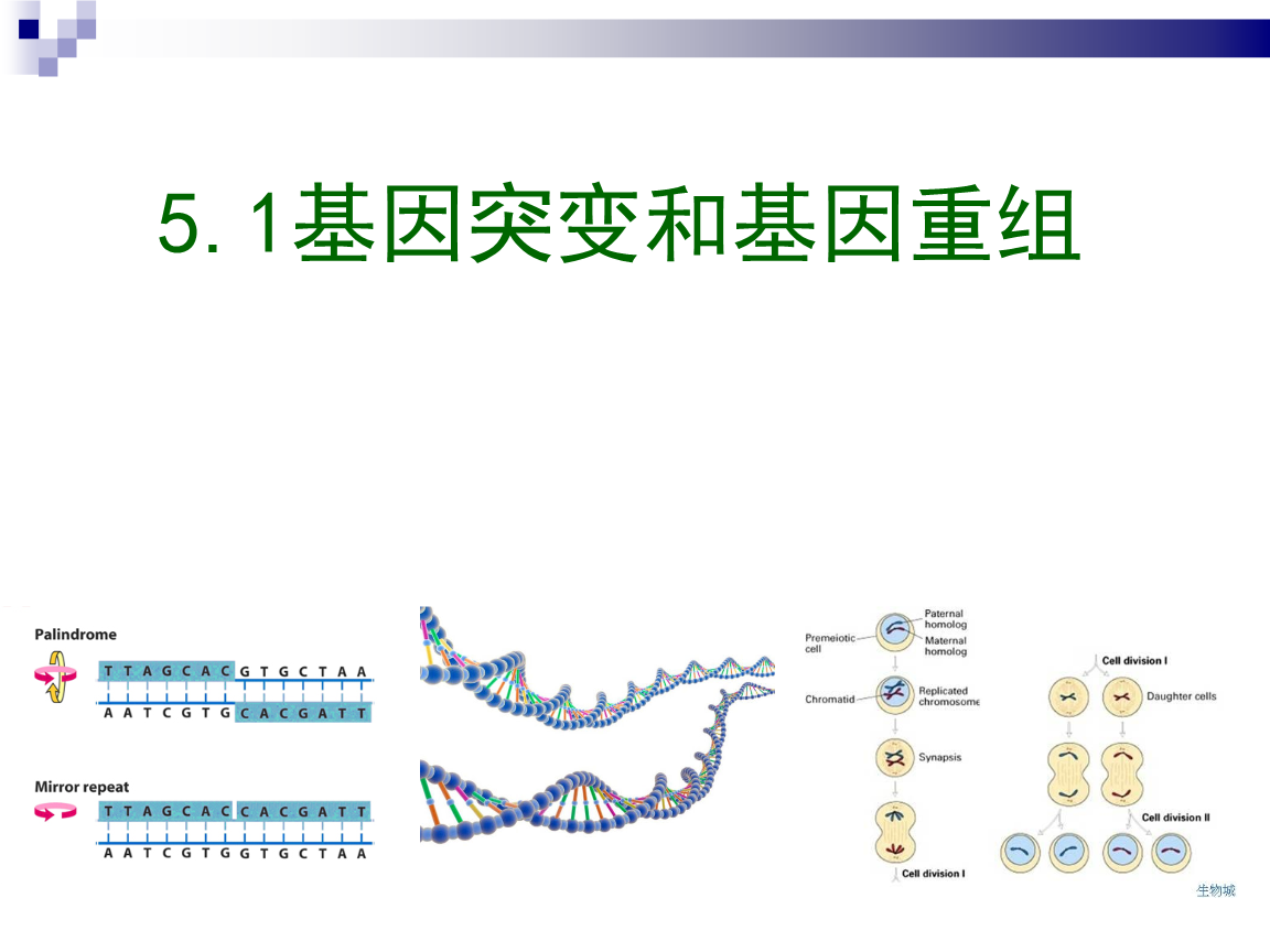 靶向药耐药后会疯长吗_肺癌吃靶向药后没胃口吃饭_肺癌靶向药吉非替尼耐药后