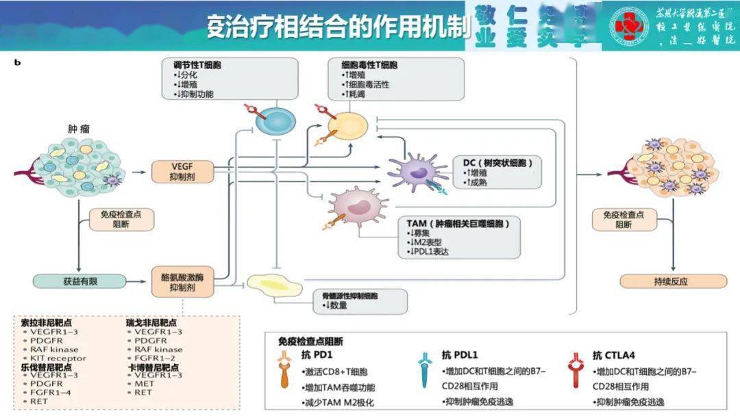 阿特珠单抗_阿特珠单抗用量_雷珠单抗和阿瓦斯汀