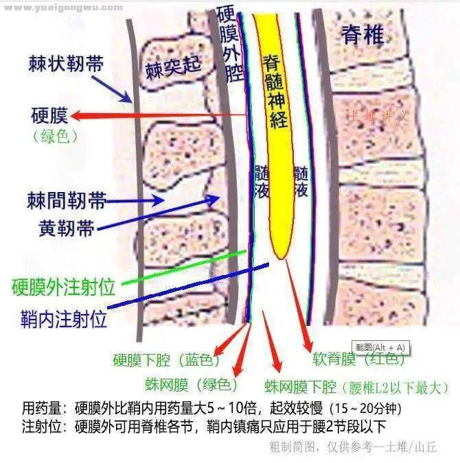 奥希替尼治疗肺腹水_azd 9291 奥希替尼_奥希替尼印度版怎么买