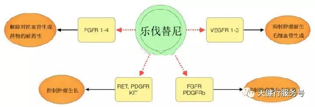 贝伐珠单抗 耐药性_贝伐珠单抗多少钱一只_贝伐珠单抗下肢水肿