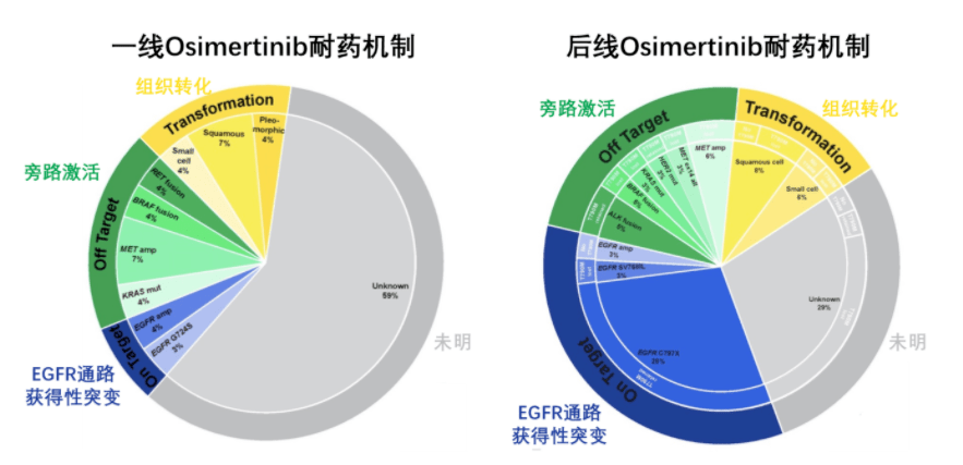 入脑效果好的靶向药奥希替尼_肺癌脑转移的靶向药_香港买奥希替尼多少钱