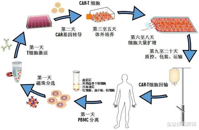 贝伐珠单抗联合卡瑞利治疗肺癌_贝伐珠单抗靶向是啥_贝伐珠单抗是靶向药吗