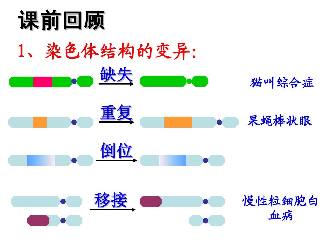 l858r靶向药吉非替尼_伊马替尼 靶向治疗_苹果酸舒尼替尼有替代药吗