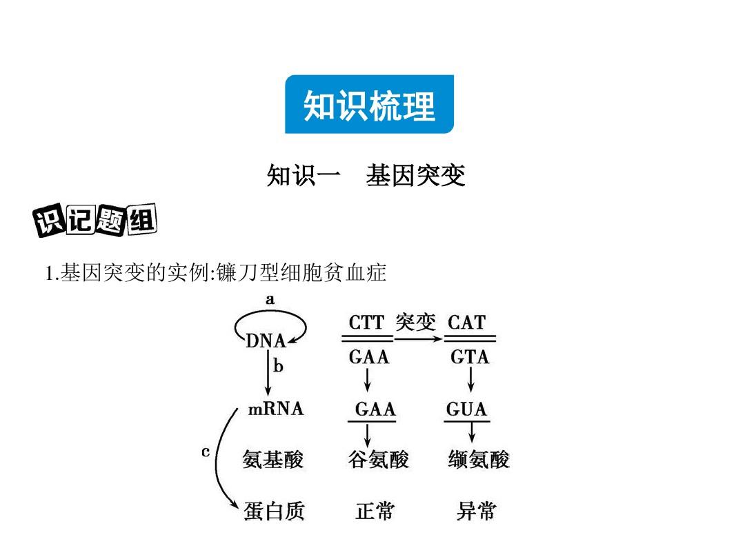 去哪买印度版奥希替尼_奥希替尼9291药品_奥希替尼耐药检查什么