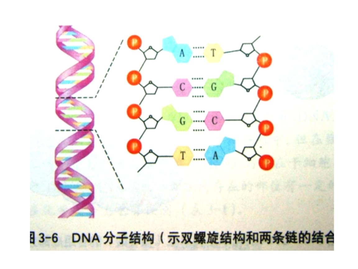 去哪买印度版奥希替尼_奥希替尼9291药品_奥希替尼耐药检查什么