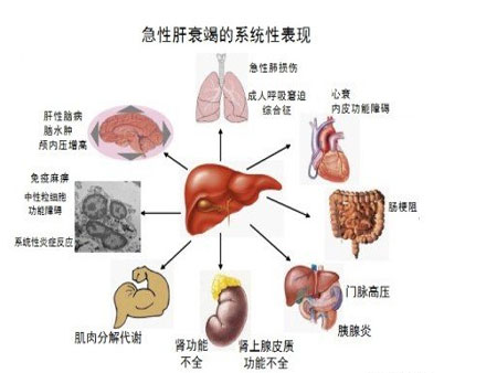 贝伐珠单抗和化疗药物哪个先输_贝伐珠单抗说明书_贝伐珠单抗是化疗药吗