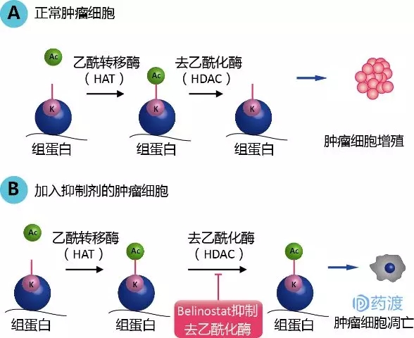 贝伐珠单抗用于低级别胶质瘤_贝伐珠单抗最新价格_贝伐珠单抗的副作用