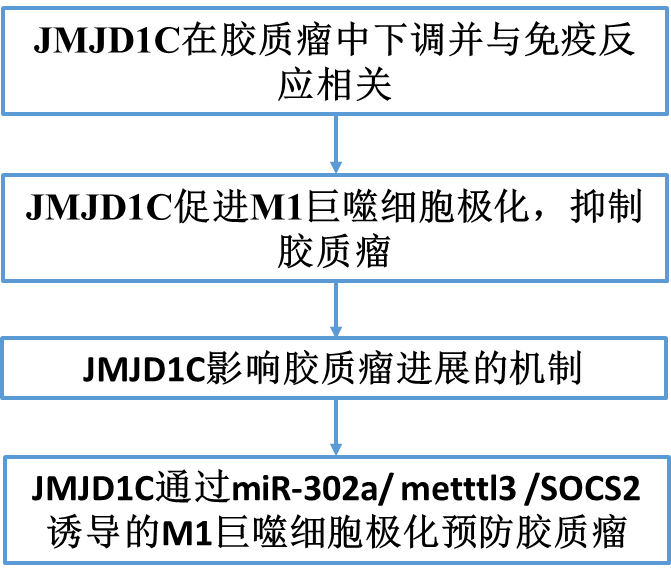 贝伐珠单抗 耐药性_贝伐珠单抗用于低级别胶质瘤_贝伐珠单抗是化疗吗