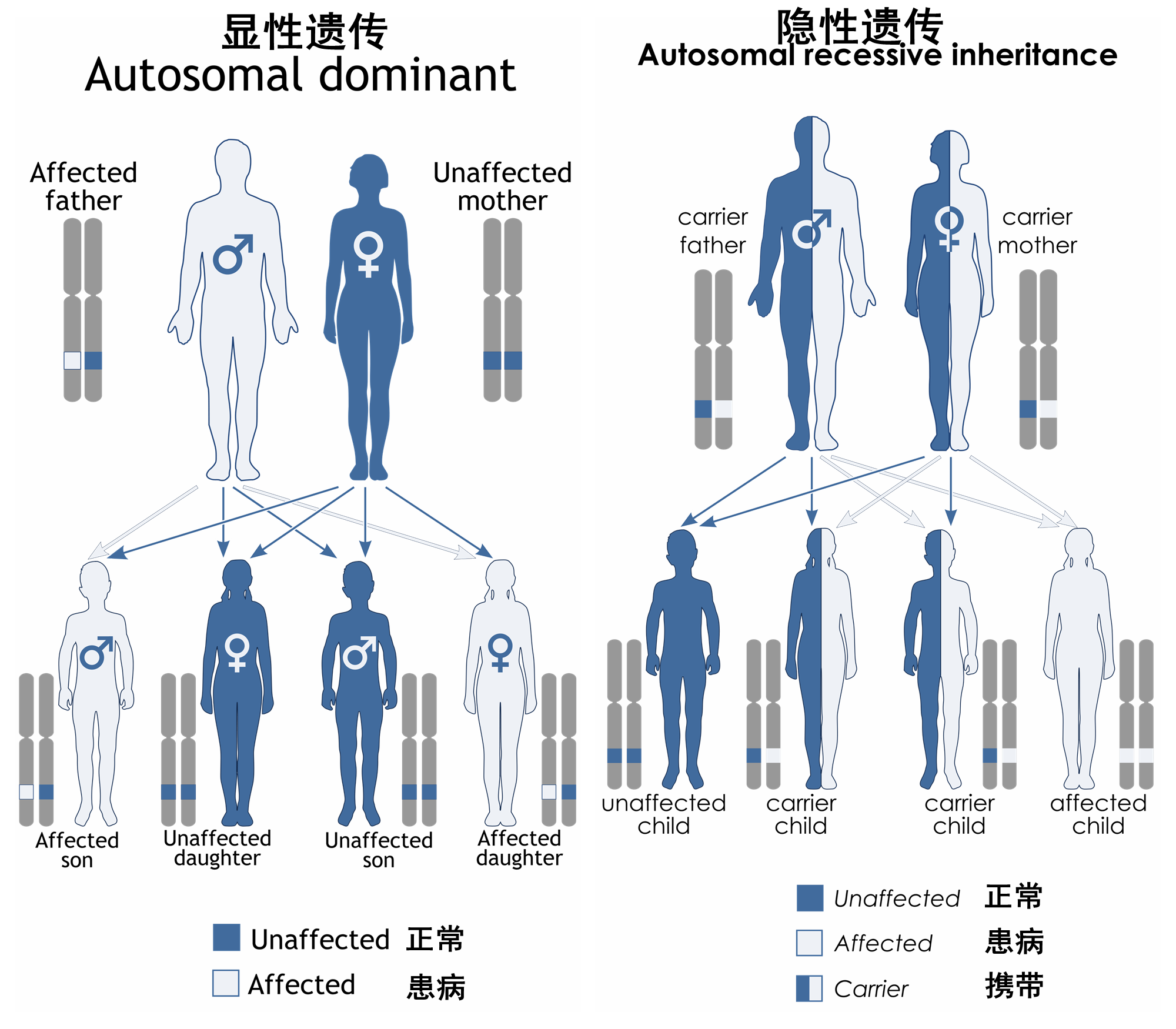 奥希替尼印度版白盒_奥希替尼是片剂吗_奥希替尼都有哪里产的