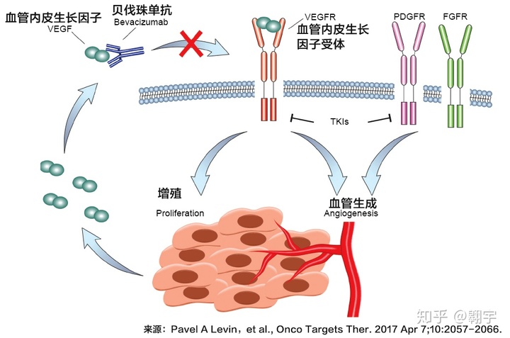 贝伐单抗给药方式_贝伐珠单抗_贝伐单抗是靶向药吗