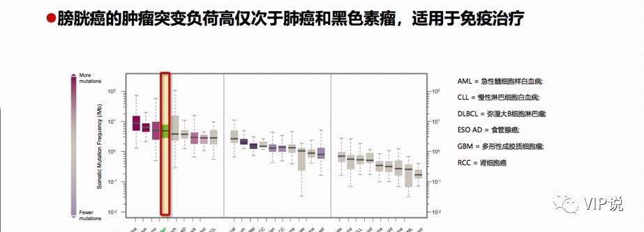 肠癌肝转移可以用索拉非尼吗_肠癌肝转移有结界_肠癌肝转移症状