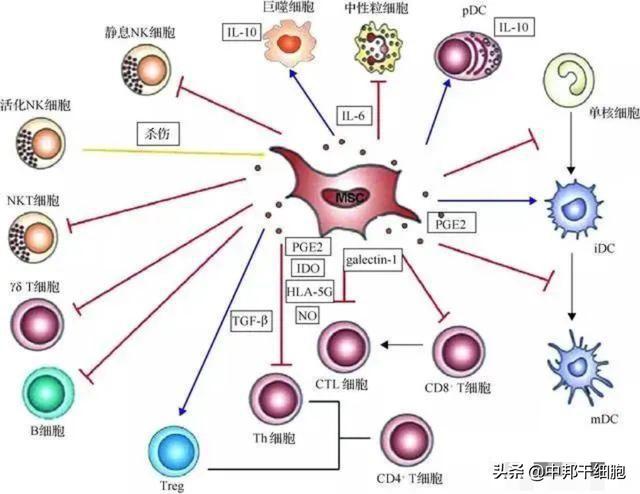 帕纳替尼疗效_尼毕鲁杨祥吉的妻子_吉非替尼疗效的评估