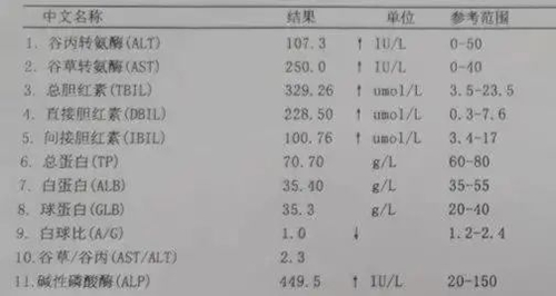 吃奥希替尼能喝水怎么回事_奥希替尼都有哪里产的_印度版奥希替尼