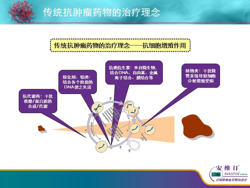 贝伐单抗和贝伐珠单抗_贝伐珠单抗多少钱一支_口服靶向药后再用贝伐珠单抗