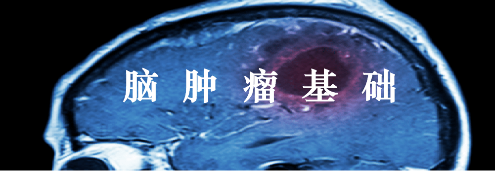 贝伐单抗印度版_贝伐单抗脑胶质瘤用量_肺癌新药贝伐单抗