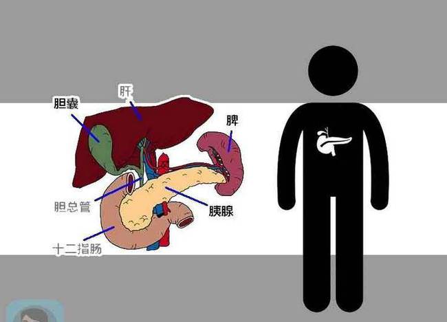 贝伐珠单抗_贝伐单抗联合靶向药_口服靶向药后再用贝伐珠单抗