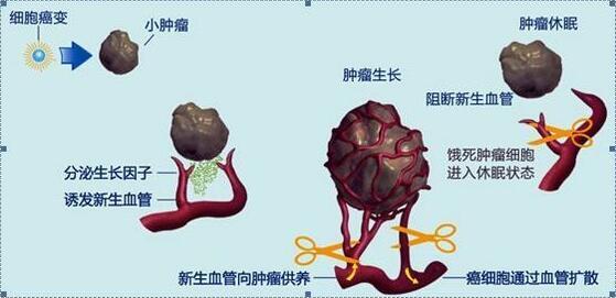 贝伐单抗脑胶质瘤用量_贝伐珠单抗用法用量_西妥昔单抗贝伐单抗