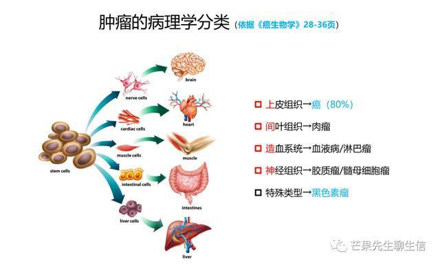 安可达贝伐珠单抗是什么药_贝伐单抗和贝伐珠单抗_贝伐单抗为什么赠药