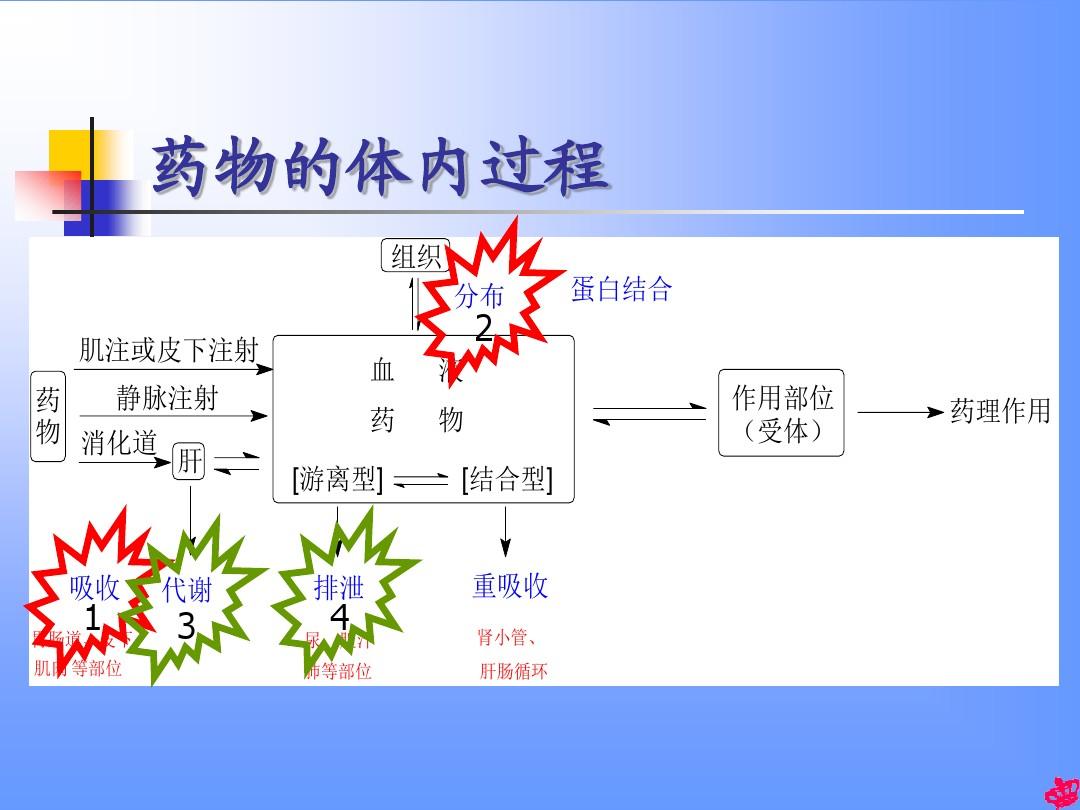 贝伐珠单抗多少钱一只_齐鲁贝伐珠单抗注射液_贝伐珠单抗可以报销吗