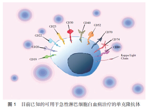 贝伐珠单抗价格_贝伐单抗耐药性_贝伐单抗联合恩度