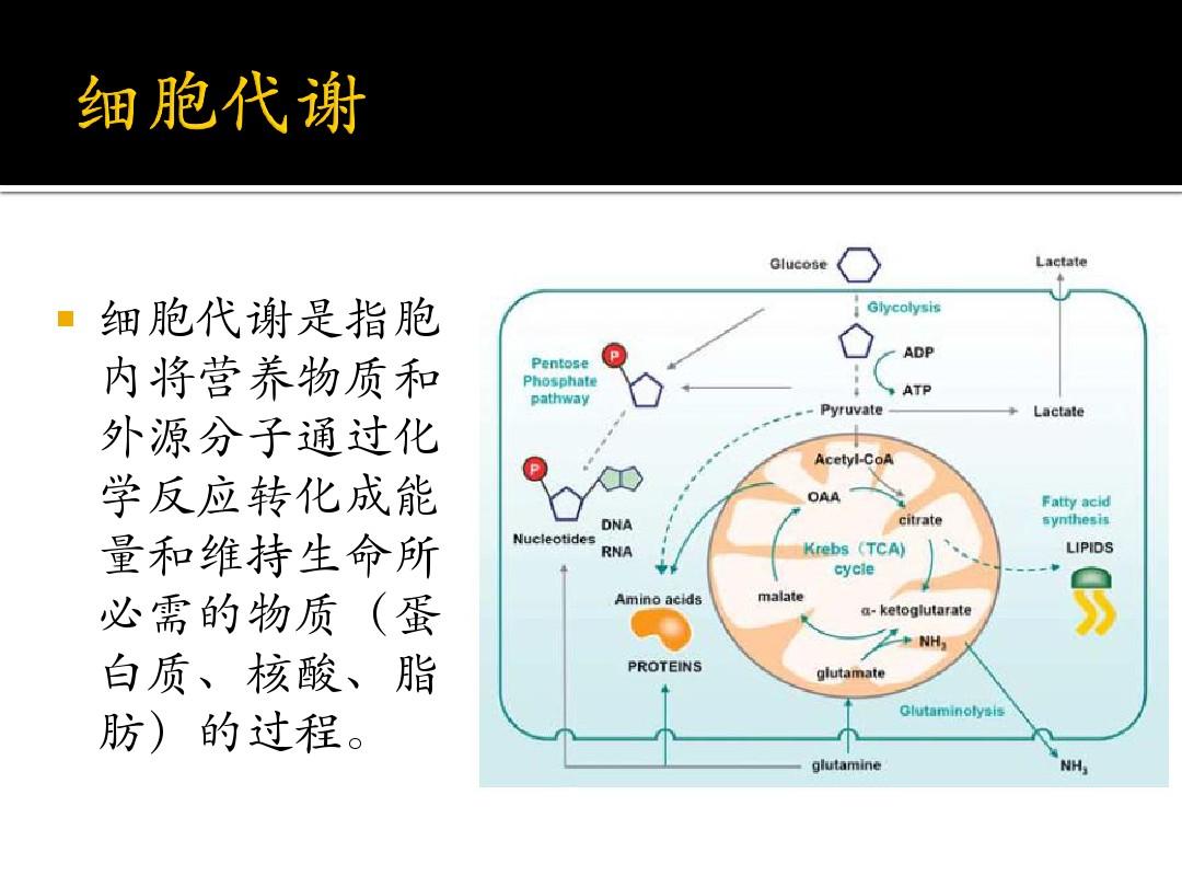 靶向药索拉非尼片_索拉非尼片_甲苯磺酸索拉非尼片 检测