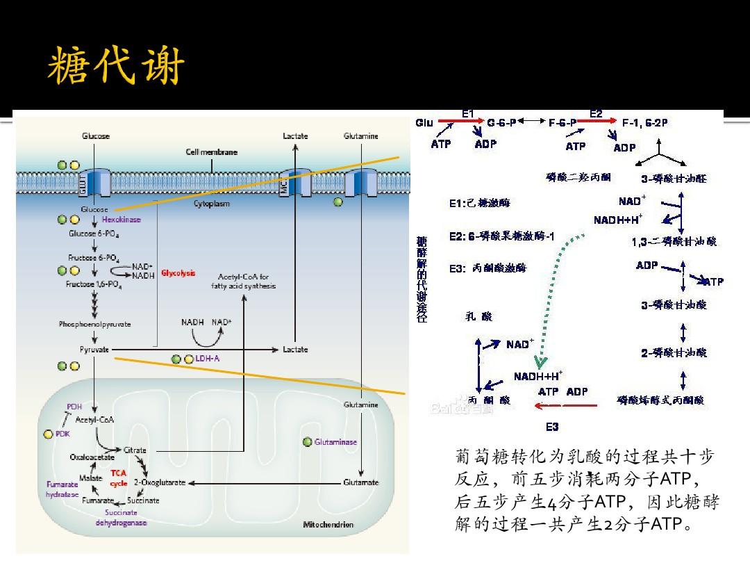 索拉非尼片_靶向药索拉非尼片_甲苯磺酸索拉非尼片 检测