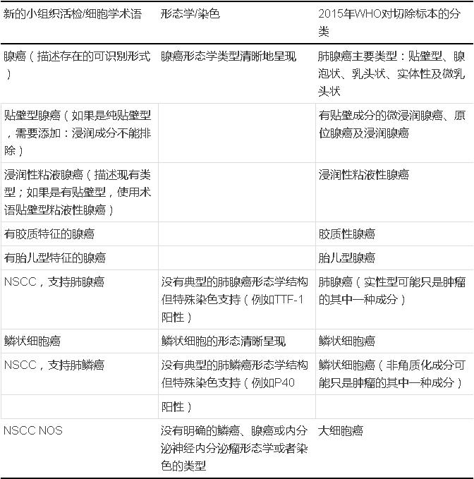 贝伐单抗用于肺损伤_贝伐珠单抗不良反应_贝伐单抗耐药性