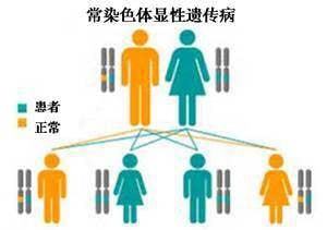 贝伐珠单抗是靶向药吗_贝伐珠单抗4个月后赠药_贝伐珠单抗能治疗肝硬化吗