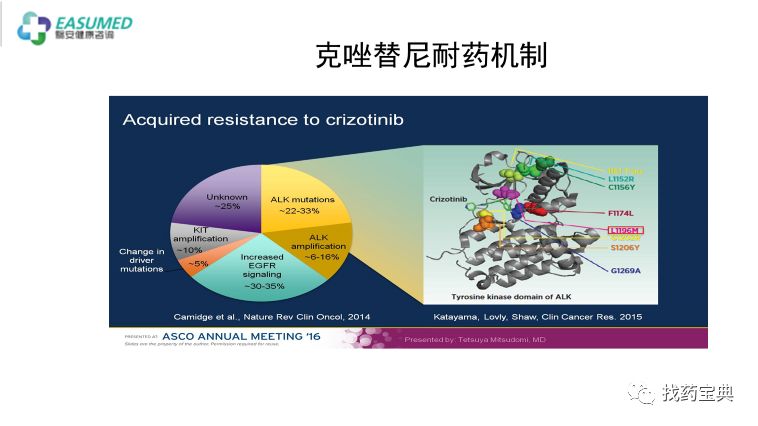 肺癌怎样做基因检测_基因检测肺癌可吃吉非替尼_上海肺癌基因检测公司