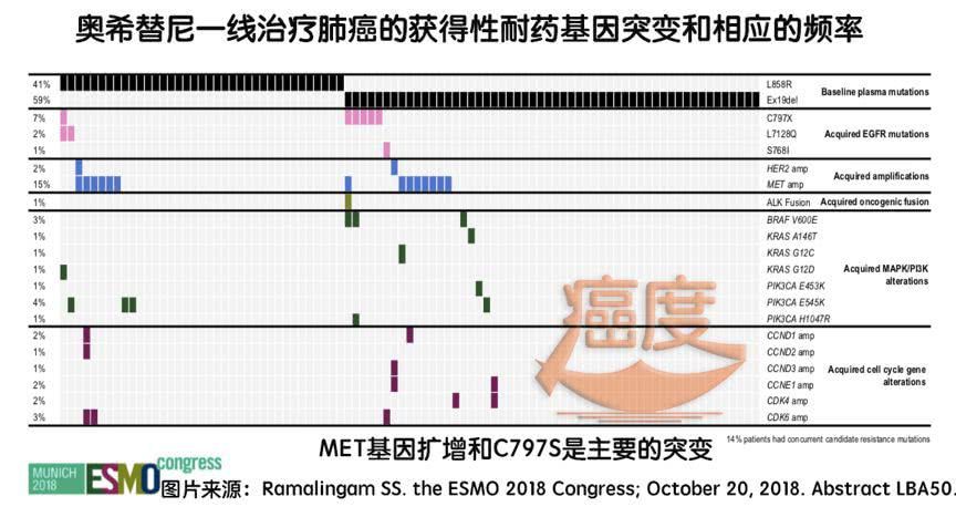 国内肺癌基因检测公司_基因检测肺癌可吃吉非替尼_肺癌鳞癌基因检测