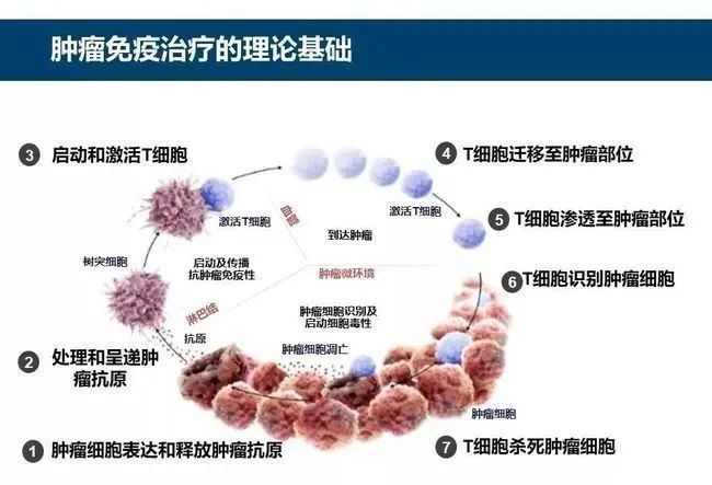 索拉非尼能治愈肝癌吗_香港何处有甲苯磺酸索拉非尼片_甲苯磺酸索拉非尼片能治好