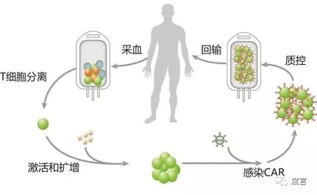 肾肉瘤样癌能摸到吗_贝伐单抗和贝伐珠单抗_贝伐单抗治疗肾肉瘤样癌脑转移