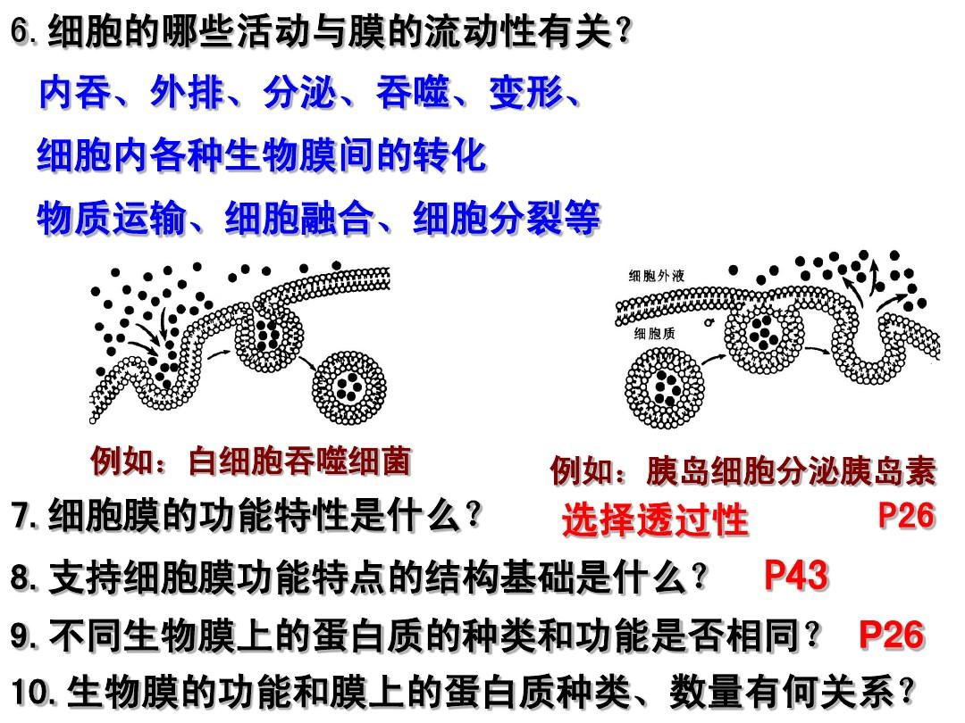 贝伐珠单抗是化疗药吗_贝伐单抗-阿瓦斯汀大陆卖多少钱?_贝伐单抗进昆明医保了